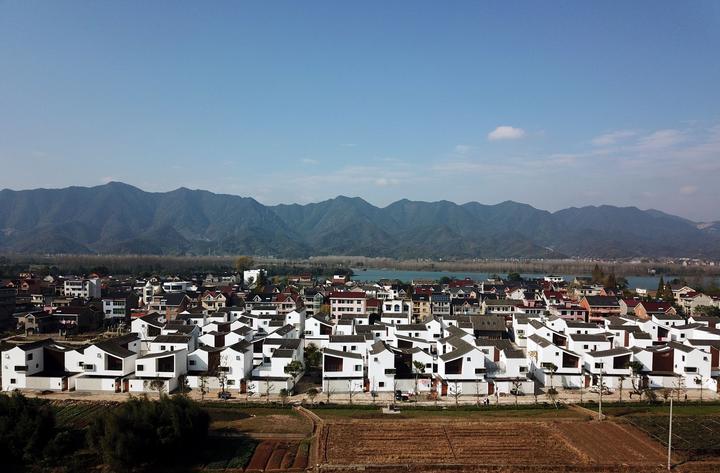 以花为媒 富阳打造现代版富春山居图